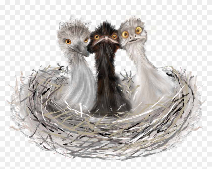 Filter By Category - Emu Clipart