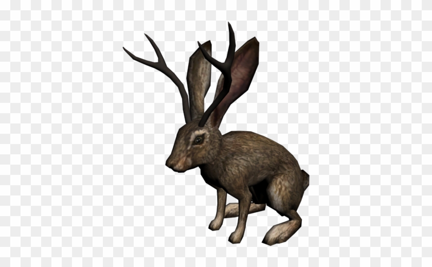 Dead Animal Png - Jackalope Png Clipart