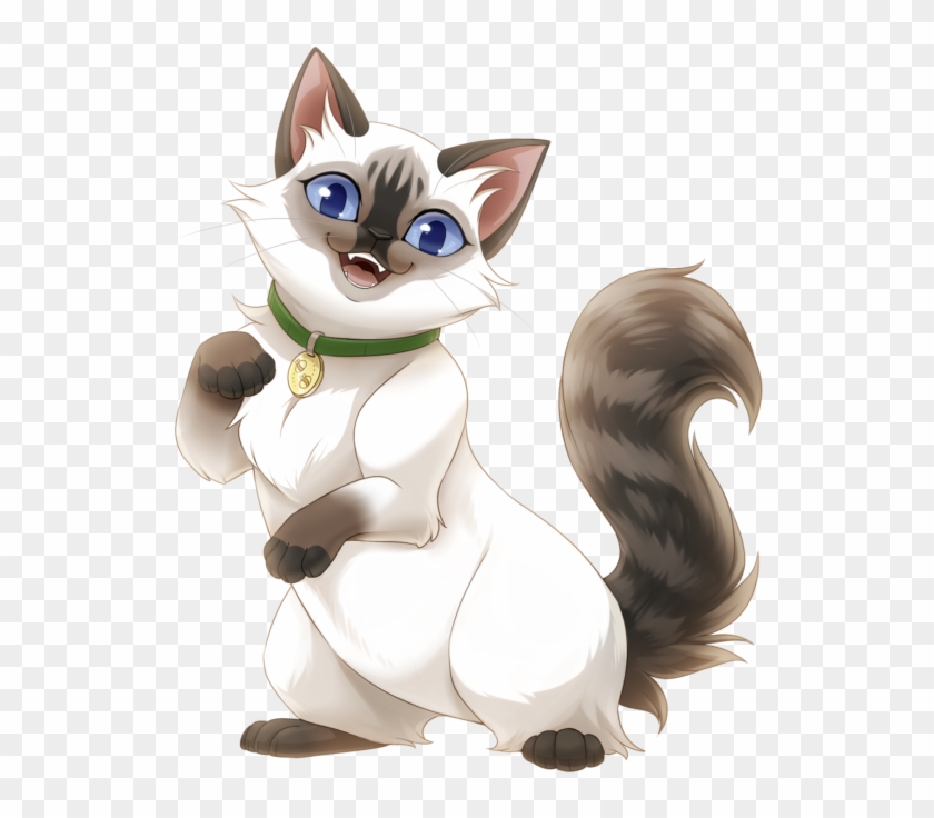 Seal Color Point Ragdoll - Cartoon Clipart