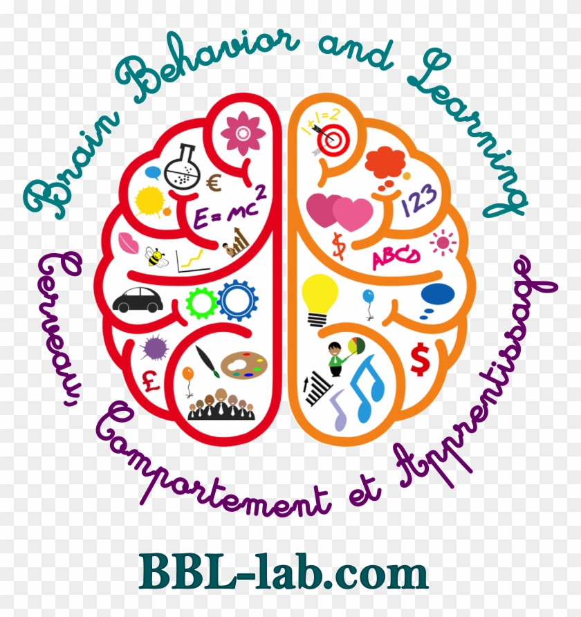 Brain, Behavior And Learning - Brain Clipart Left Right - Png Download