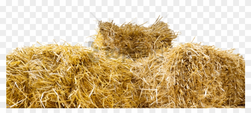 Free Png Top Of Straw Bales Png Image With Transparent - Hay Bale Transparent Clipart #5115006