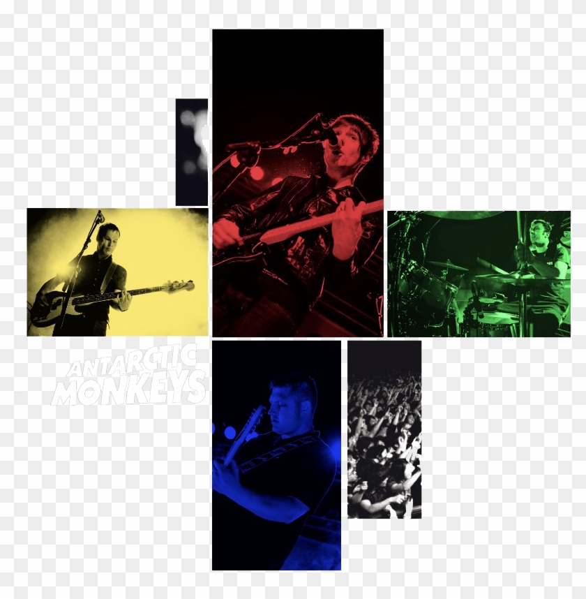 Antarctic Monkeys Arctic Monkeys Tribute Glastonbudget - Graphic Design Clipart #5116393