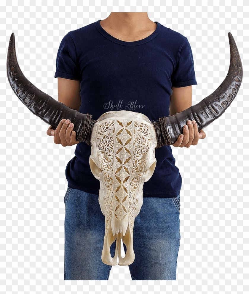 Carved Buffalo Skull - Bull Clipart #5116399