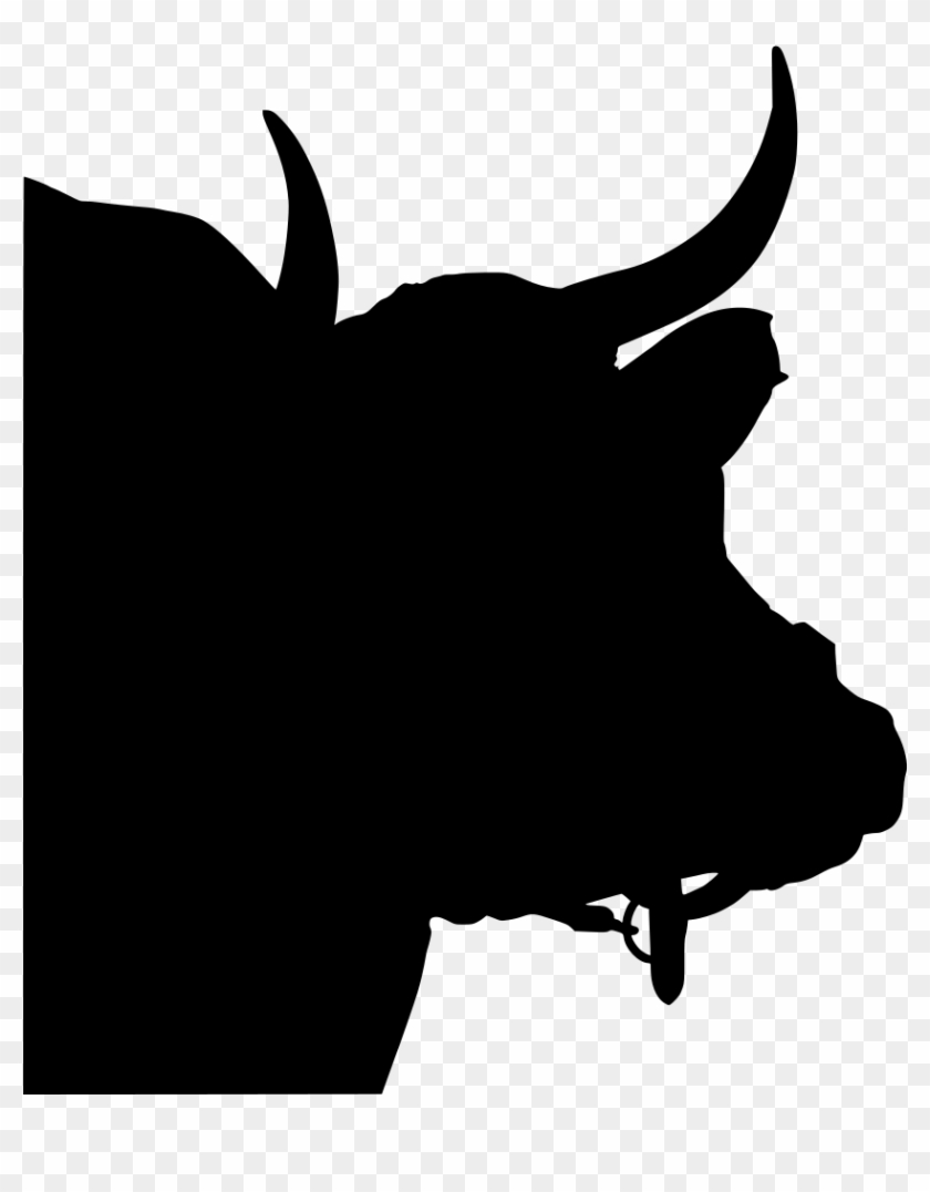 Download Png - Bull Clipart #5116689