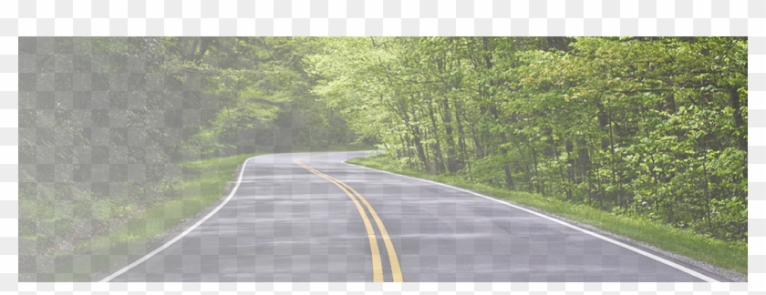 Winding Road Banner - Road With Trees On Both Clipart