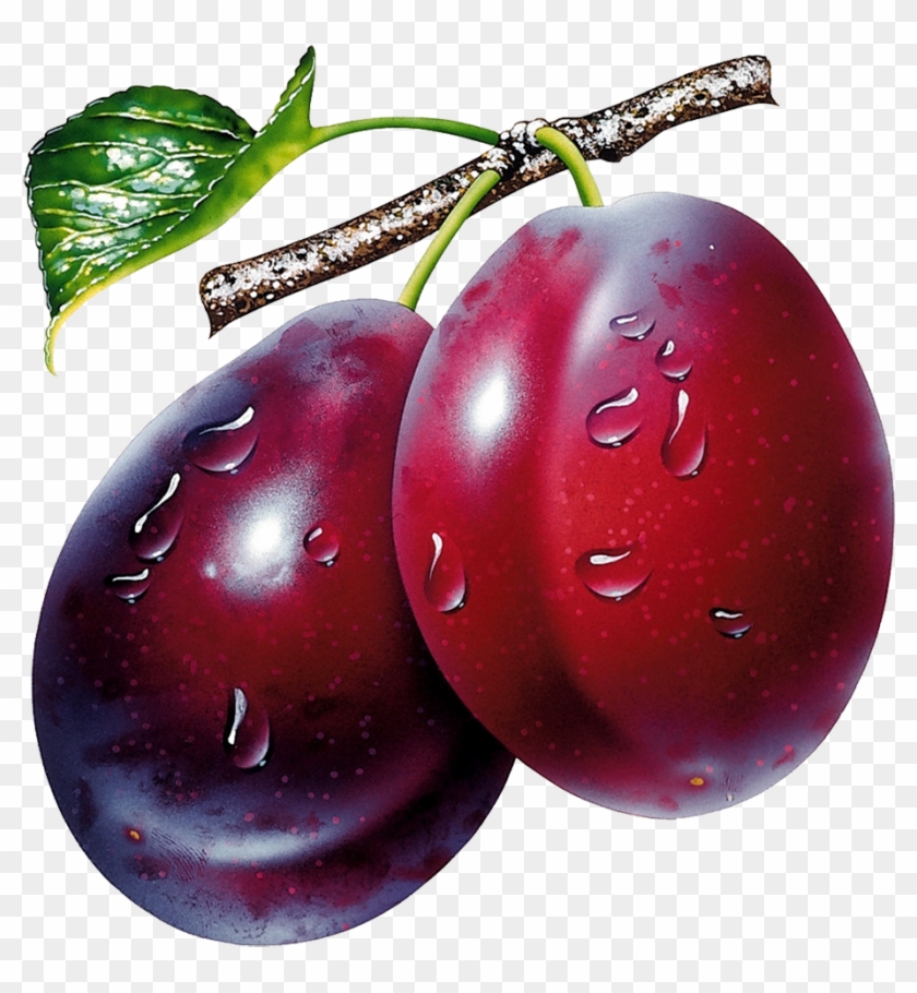 Plum Png Image - Prunes Clipart Transparent Png