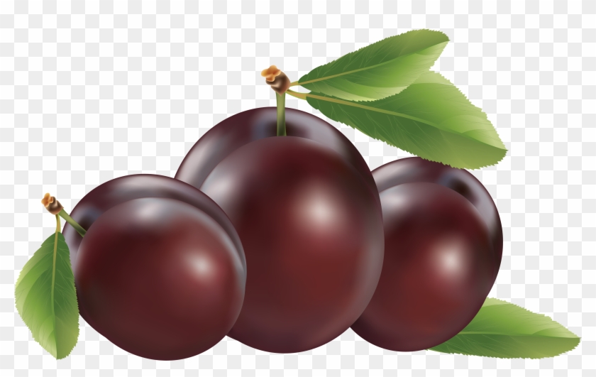 Plum Png Image - Plums Clipart Png Transparent Png (#5117489) - PikPng