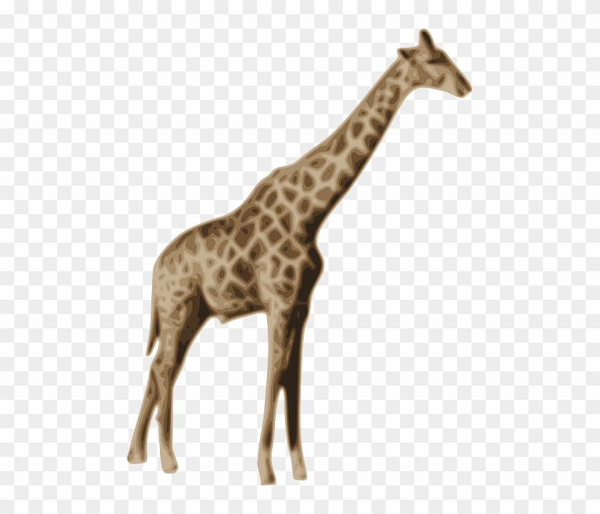Mammal Clipart Zoo Animal - Jerapah Png Transparent Png