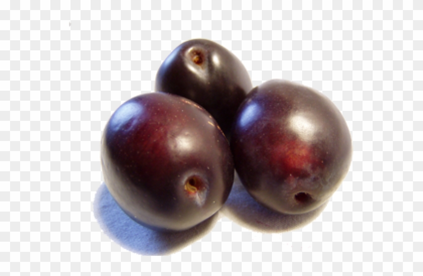 Black Plum Clipart #5118112