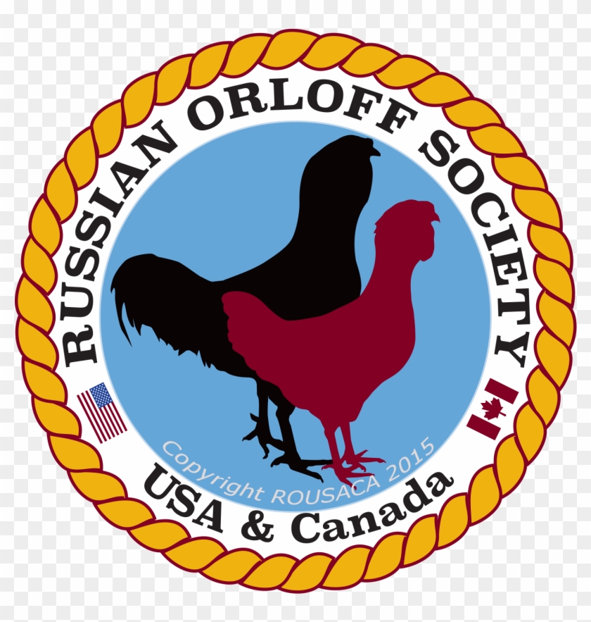Russian Orloff Society Of - Laxminarayan Institute Of Technology Logo Clipart