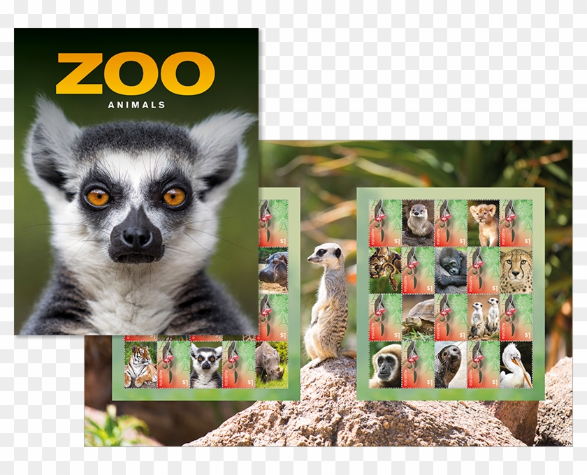 Zoo Animals Stamp Pack Clipart