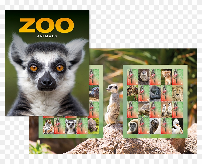 Zoo Animals Stamp Pack Clipart #5119021