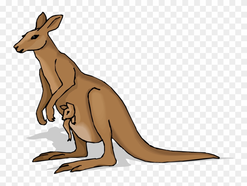 Kangaroo Clip Art Beer Free Clipart Images - Hur Ritar Man En Känguru - Png Download