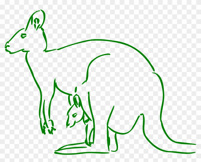 Kangaroo Baby Stand Carry Png Image - Kangaroo Clip Art Transparent Png #5119574