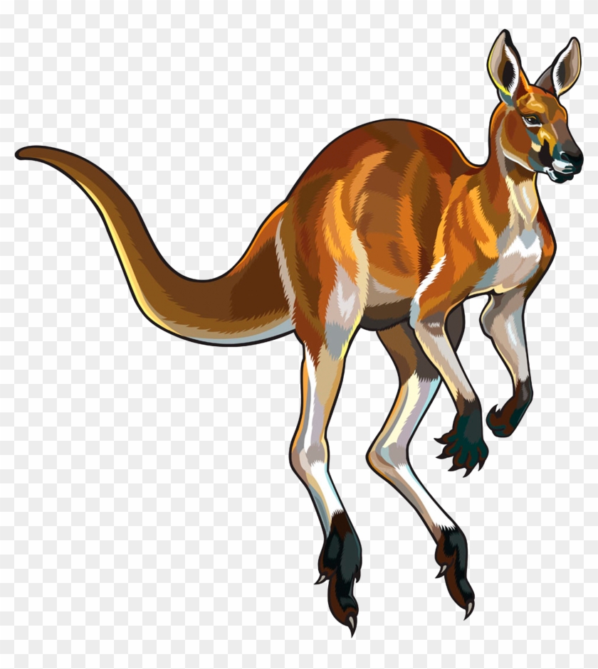 Drawing Kangaroo Jumping - Kangaroo Illustrations Clipart #5119692