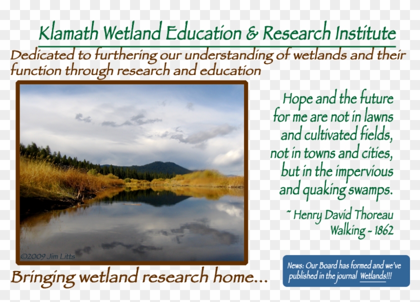 Kweri Index Image - Reflection Clipart #5120149