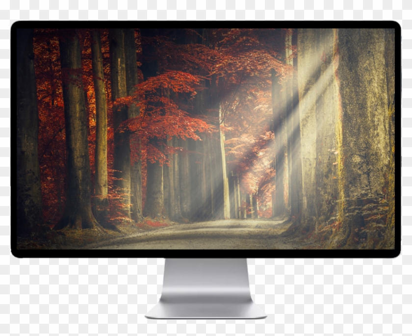 Score 50% - Hot Wheels R30 Custom Clipart