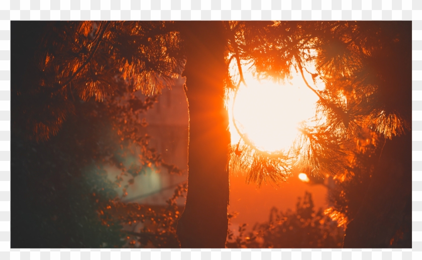 Score 50% - عکس براي صفحه زمينه Clipart #5121093