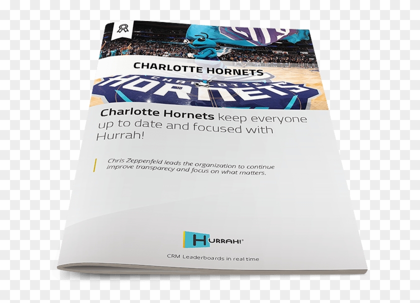 Charlotte-hornets - Flyer Clipart #5121261