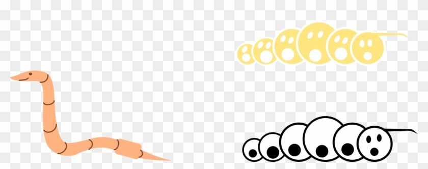 Earthworm Finger Animal - Annelida Clipart - Png Download