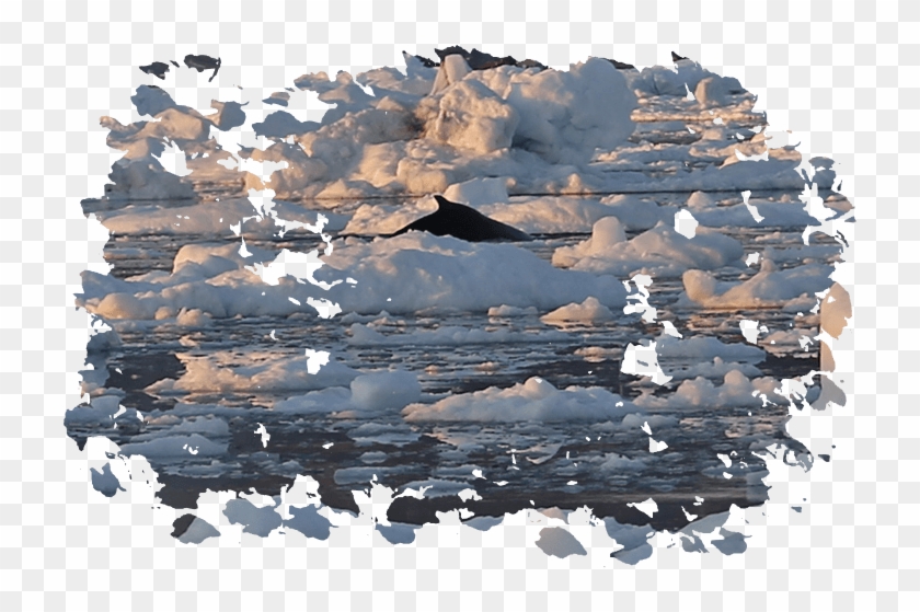 Pictures By Aladdin - Snow Clipart #5121454