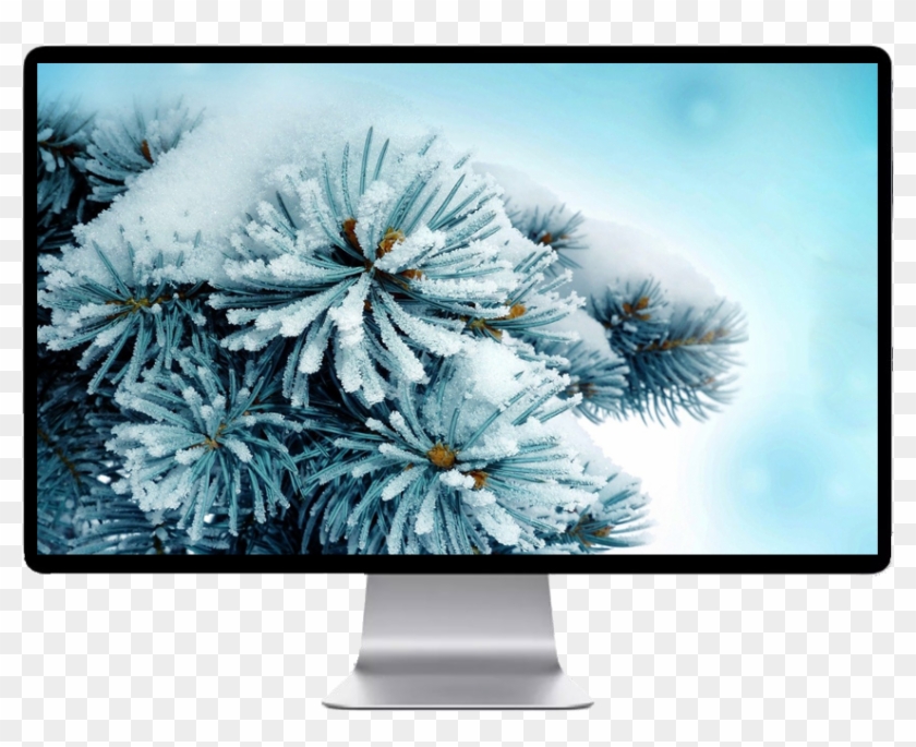 Score 50% - Ice Snow On Branches Clipart #5121477