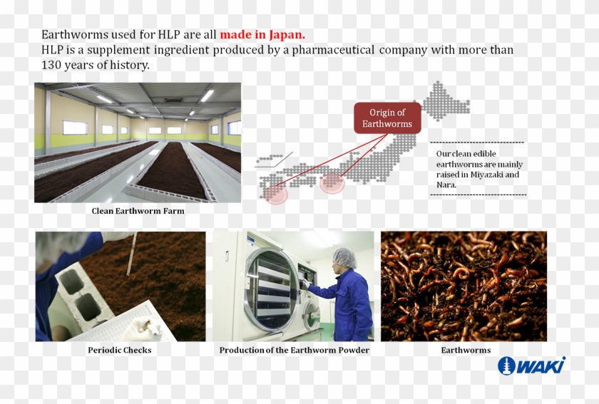 Earthiworms Used For Hlp Are All Made In Japan - Floor Clipart