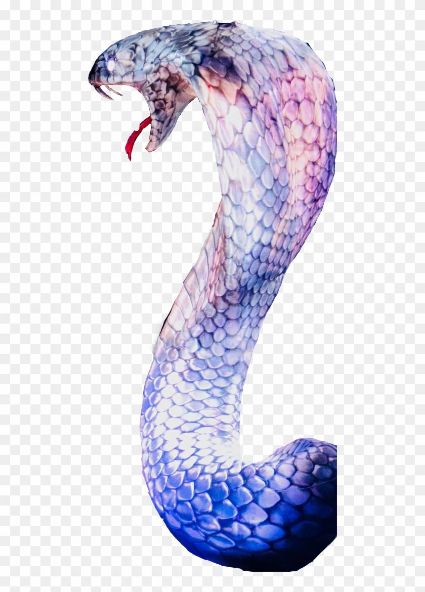 #rep #reputation #karyn #rep #reputation #taylorswift - Karyn Taylor Swift Clipart #5122436