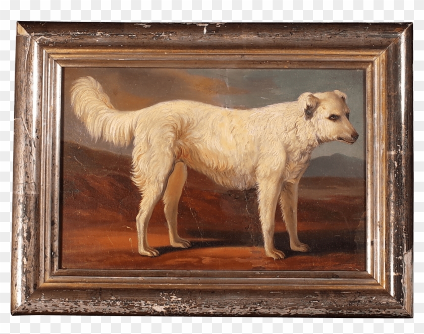 Oil Of Hound - Picture Frame Clipart