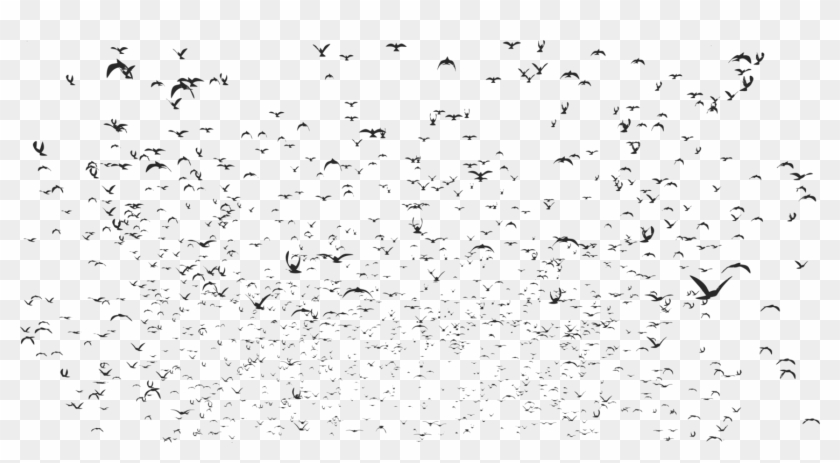Bird Flock Silhouette Line Art Black And White Clipart #5123620