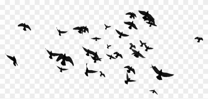 Birds - Silhouette Clipart #5123765