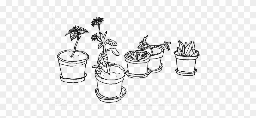 #aesthetic #vaporwave #art #edit #sticker #plants #succulents - Png Black And White Clipart #5124004