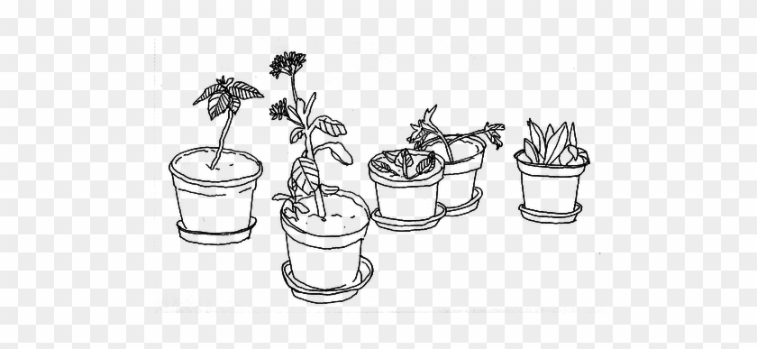 #aesthetic #vaporwave #art #edit #sticker #plants #succulents - Png Black And White Clipart