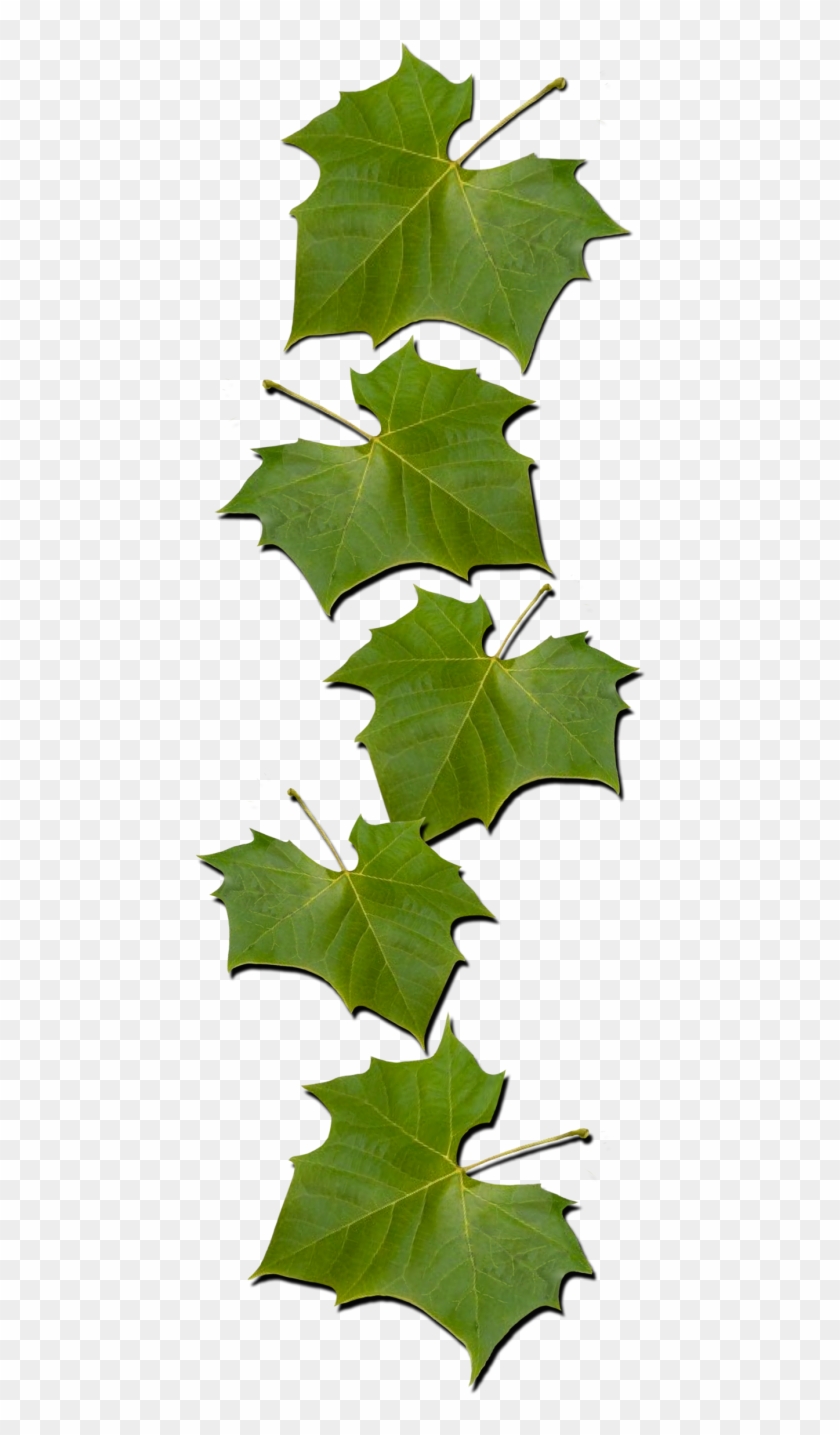 Favorite Links - Vitis Clipart #5124642