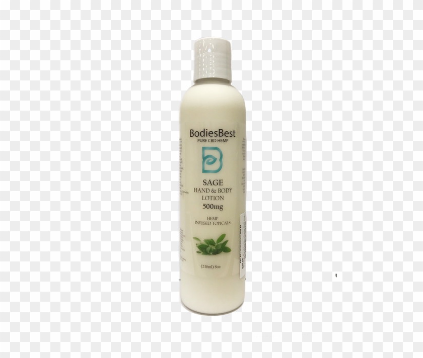 Bodies Best 8 Oz Aloe And Sage Lotion - Ever Fresh Goat Milk Clipart #5124812