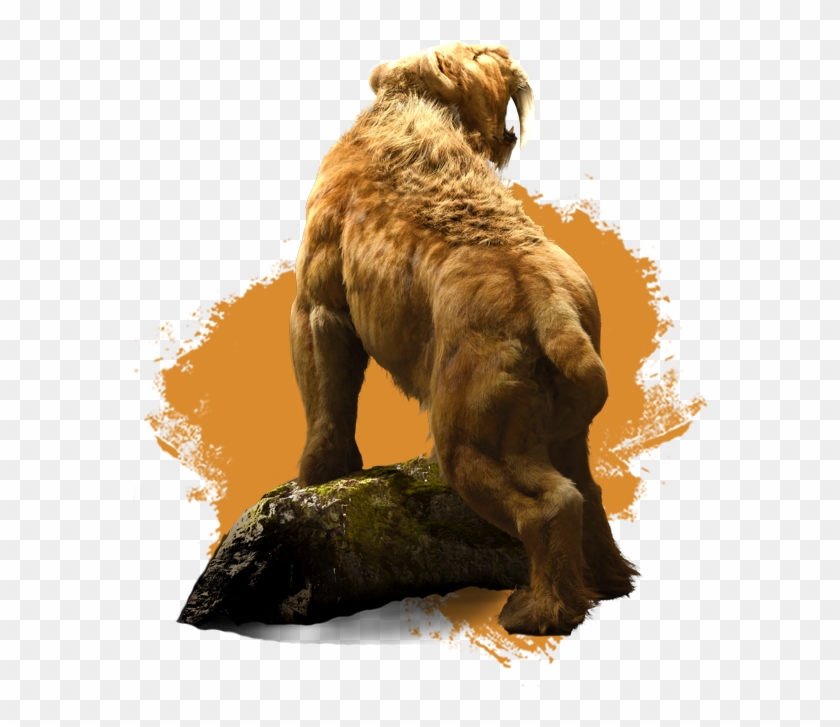 Lesharo Tags General Board - Far Cry Primal Png Clipart