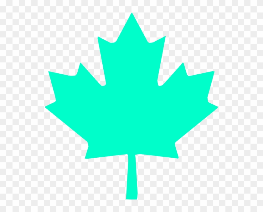 Wbp Maple Leaf - Canadian Maple Leaf Png Clipart #5125335