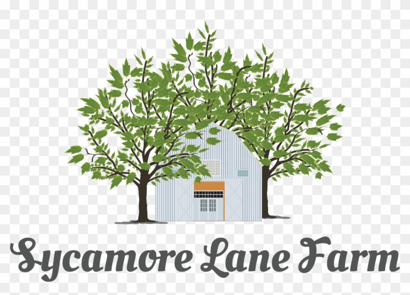 Elegant, Personable, Agribusiness Logo Design For A - Faezeh Name Clipart