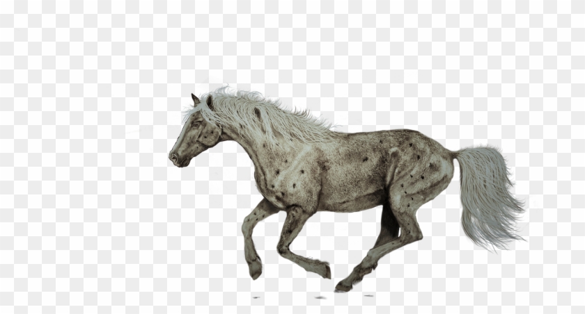 Horse Running Painting Art Png Image - Digital Horse Running Clipart #5125851