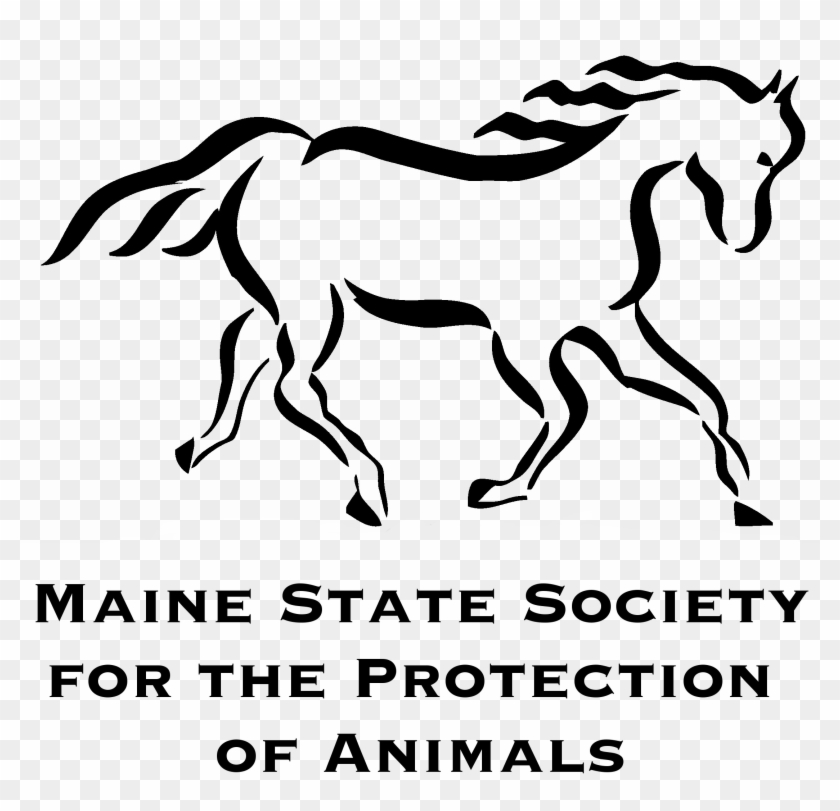 Msspa - Mane Clipart