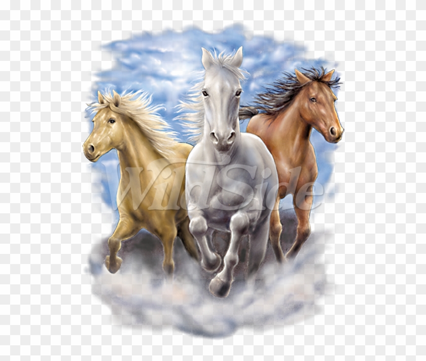 3 Running Horses - 3 Horses Clipart #5126533