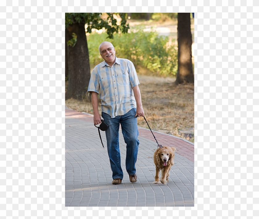 Aging And The Benefits Of Exercise - Leash Clipart