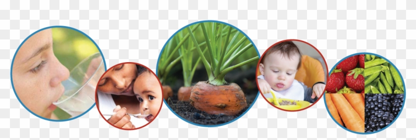 Fruits And Vegetables Banner Image - Baby Clipart