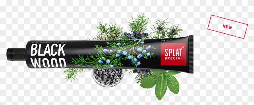 Specially For Those Who Aren't Afraid Of The Dark - Jeneverbes Clipart #5129504