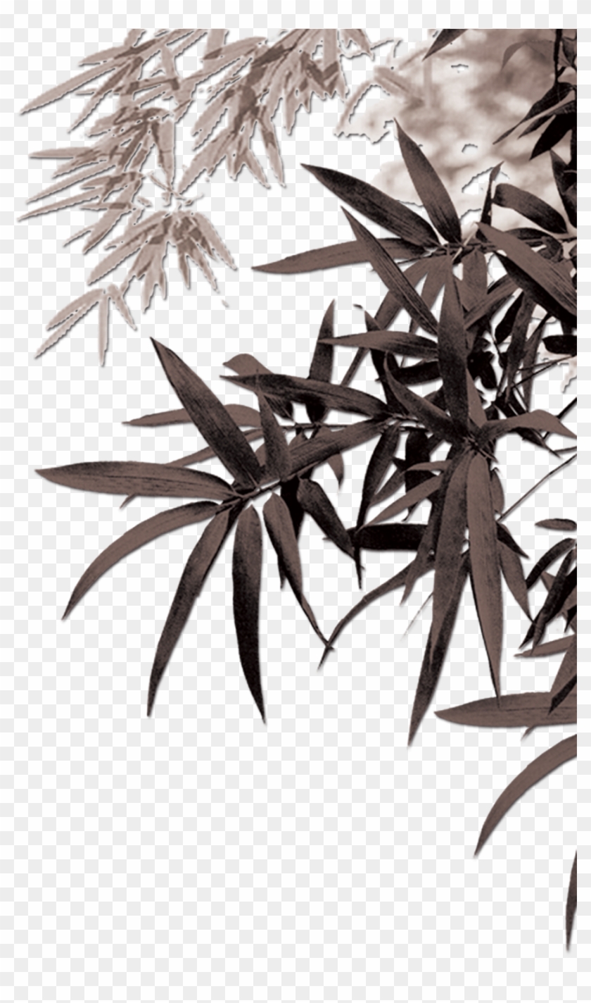 Bamboe Leaf Computer Ink Painting Leaves Transprent - Bamboo Leaves Png Clipart #5129781