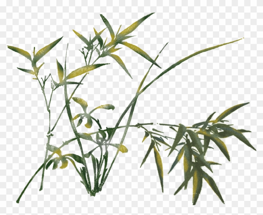 De'medici Classical Acupuncture - Grass Clipart