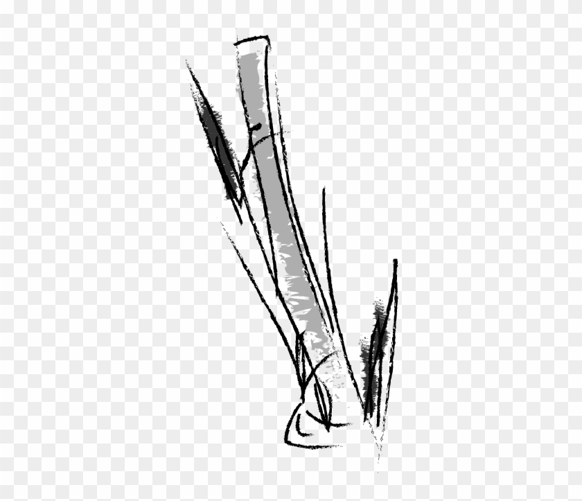 Advantages Of Bamboo Viscose - Sketch Clipart #5129993