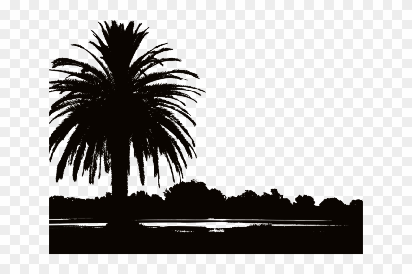 Sunset Clipart Png - Sunset Landscapes With Palm Trees Transparent Png #5130785