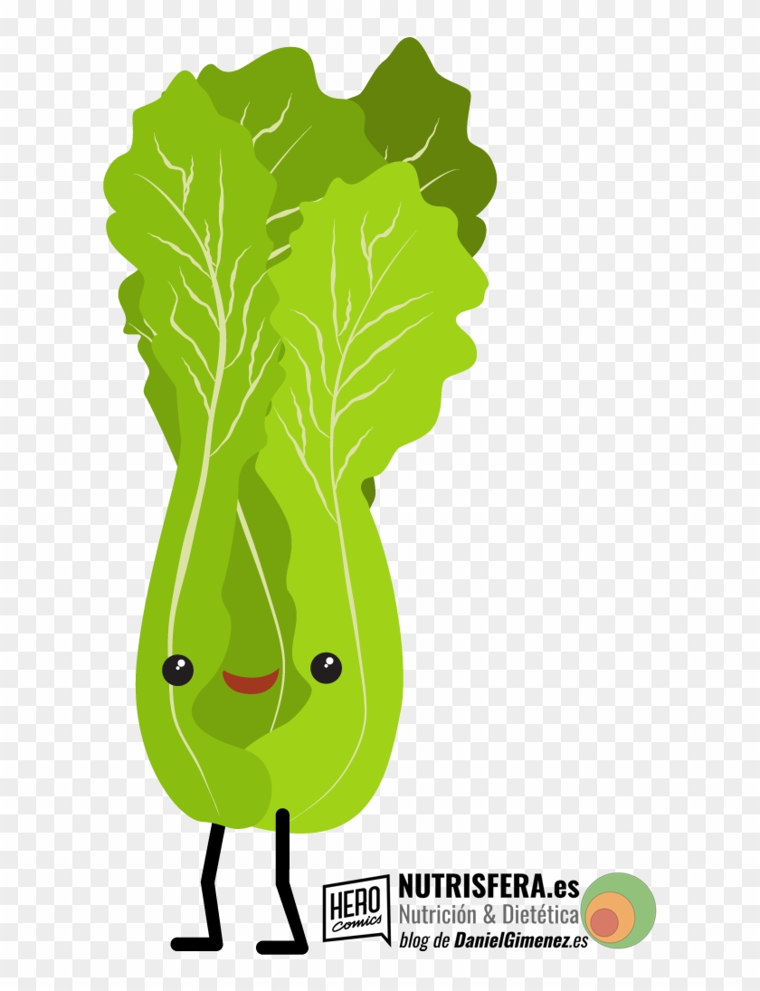 Romaine Lettuce Clipart