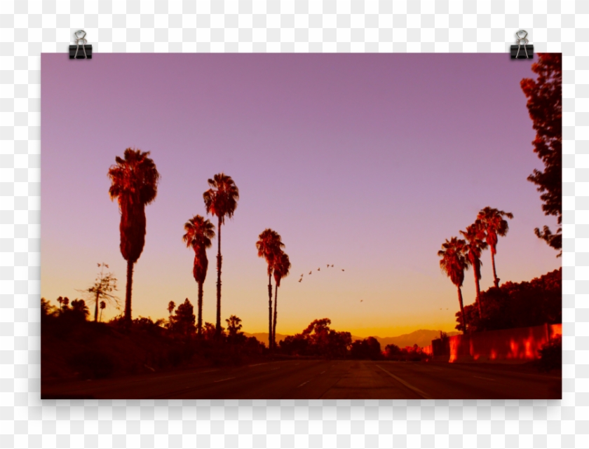 Lax-sunset Mockup Transparent Transparent , Png Download - Attalea Speciosa Clipart #5130942